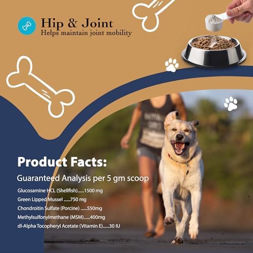Hip and Joint Food Supplement for Dogs, Large Breeds- Glucosamine and Chondroitin Powder with Green Lipped Mussel - Pain, Inflammation Relief with Vitamins - Senior Health Supplies for Arthritis - Image 2