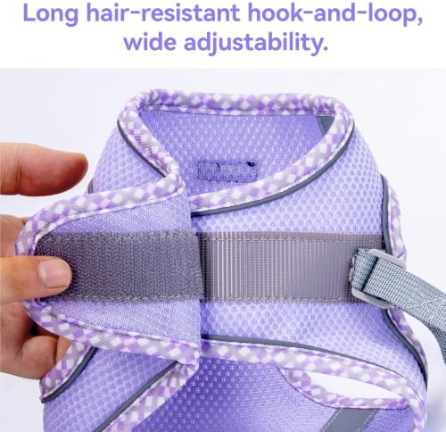 Petank Dog Harness for Small Medium Dogs No Pull, Puppy Harness and Leash Set, Step in Dog Harness for Walking, Running, Training, Small Dog Vest, Medium Dog Vest (Purple, M) - Image 5