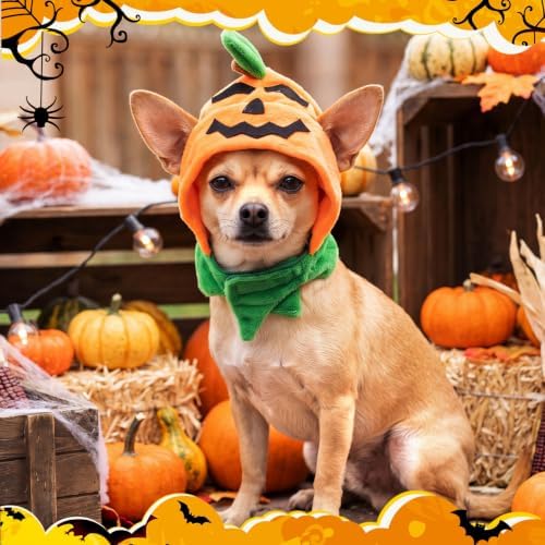 Abbylike 6 Pcs Halloween Pumpkin Costume for Cat, Small Dog - Image 5