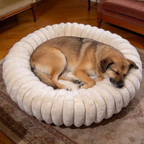 Donut Small Medium Dog Bed Washable Kitty & Puppy Bed,28ins White by VhenWhen