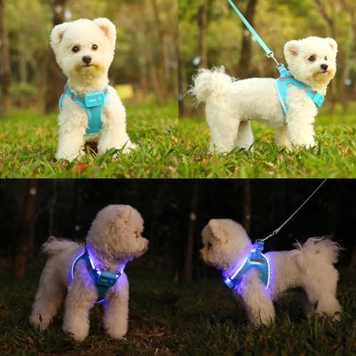 Light Up Dog Harness, Rechargeable LED Dog Harness for Small Medium Dogs - Image 5