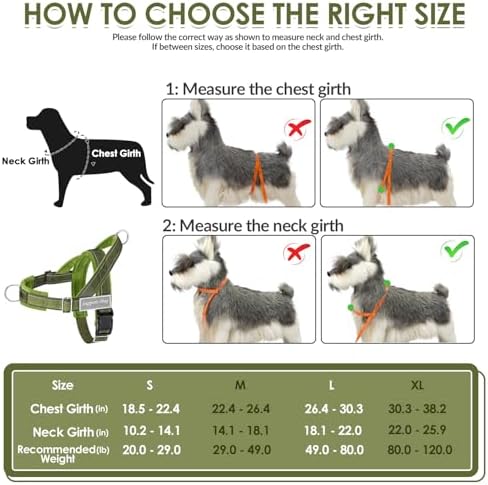 SlowTon No Pull Dog Harness and Leash Set - Heavy Duty, Soft Padded - Image 6
