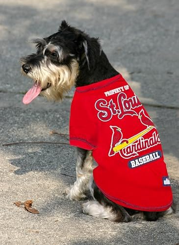 MLB Saint Louis Cardinals Dog T-Shirt, X-Large. - Licensed Shirt for Pets Team Colored with Team Logos. - Premium Stretchable Materials for The Comfort of Your Dog & cat. - Image 4