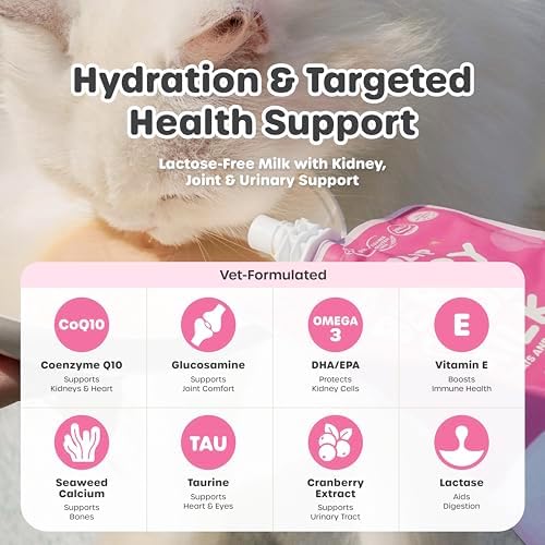 Choolip Berry Good Milk for Cats & Dogs – Lactose-Free Pet Milk Pouches – Vet-Formulated Hydrating Drink with Cranberry, CoQ10, Glucosamine & Omega-3 (200mL x 10 Pouches) - Image 3