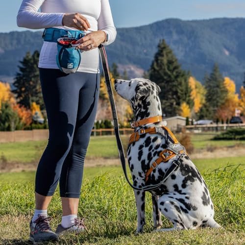 PetSafe 3 in 1 No-Pull Dog Harness - Walk, Train or Travel - Helps Prevent Pets from Pulling on Walks - Seatbelt Loop Doubles as Quick Access Handle - Reflective Accents - Extra Small, Black - Image 2