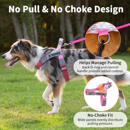 No Pull Dog Harness and Leash Set, Australian Dog Harness, Service Dog Harness with Handle and 4 Reflective Patches, Adjustable Training Vest for Small, Medium and Large Dogs (Pink,L) - Image 2