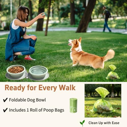2-in-1 Collapsible Dog Travel Bowl Portable Silicone Carabiner - Image 2