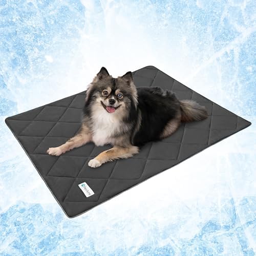 PetAmi Cooling Dog Blanket Lightweight Soft for Small Pet Cat, 24x32, Grey by PetAmi
