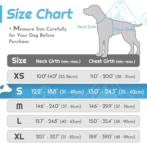 Eagloo Dog Harness for Small Dogs, No Pull Pet Vest with 2 Leash Clips - Image 2