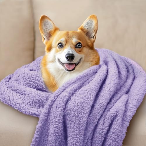 Luciphia 3 Pack Soft Sherpa Fleece Blankets for Dogs Cats Puppies,30"x20" - Image 4