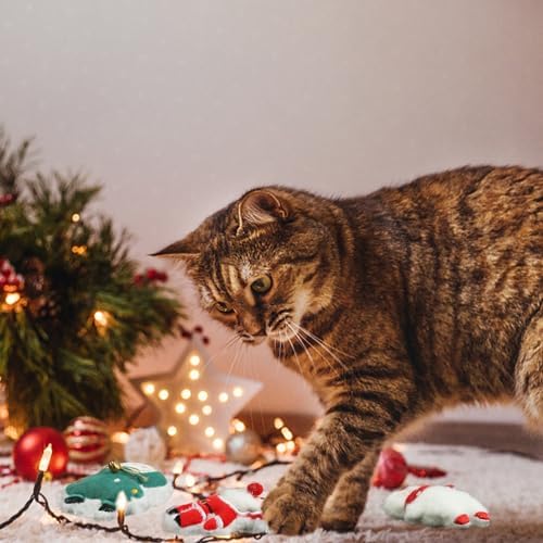 FOIMAS 3pcs Christmas Catnip Toys,Xmas Cat Toys Plush Santa Claus Snowman Tree Interactive Chew Bite Toys for Cat Kitten Indoor - Image 7