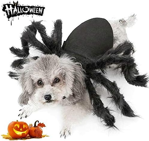 Spider Costume for Halloween Party Decoration, Cosplay Costumes for Small Dogs and Cat, Puppy Dress Up Accessories Black by Puoyis