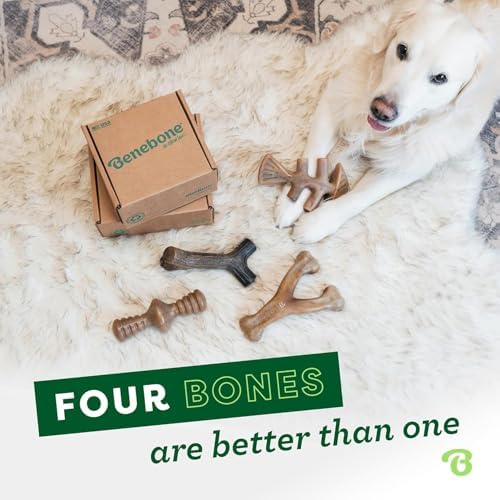 Benebone Medium 4-Pack Dog Toys for Aggressive Chewers – Under 60 lbs - Image 5
