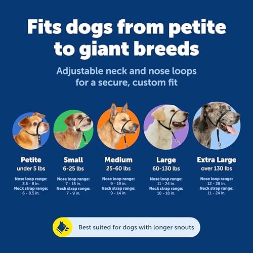 PetSafe Gentle Leader No-Pull Dog Headcollar - The Ultimate Solution to Pulling - Redirects Your Dog's Pulling for Easier Walks - Helps You Regain Control - Small, Apple Green - Image 5
