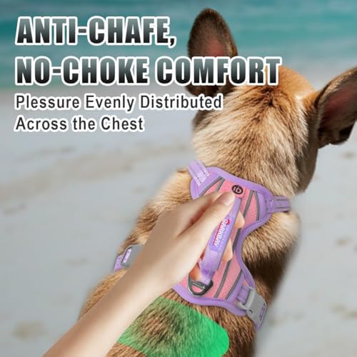 BARKBAY Dog Harness for Small Sized Dog No Pull Dog Vest ID Tag Pocket - Image 4