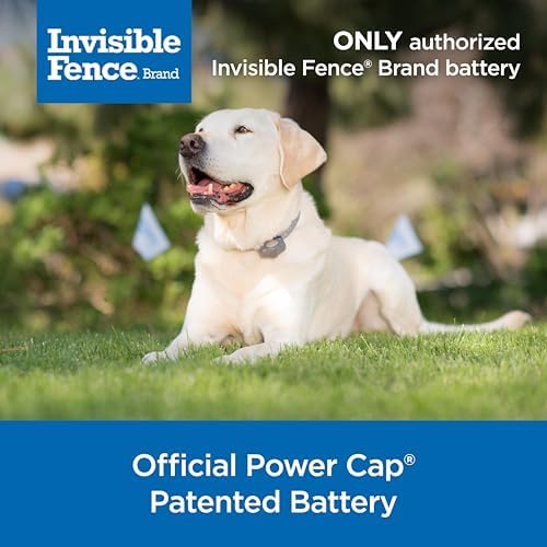 Invisible Fence Brand Power Cap Battery, 1-Pack - Image 2