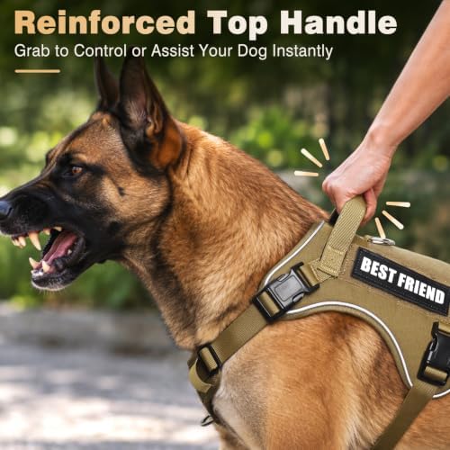 WINSEE No Pull Tactical Dog Harness with Leash Set with 2 Patches - Image 4
