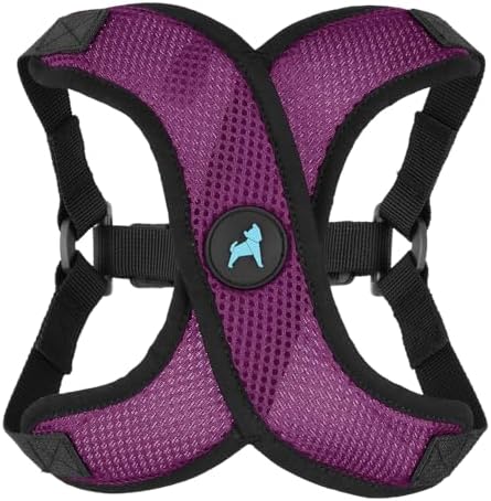 Gooby Comfort X Step-in Lite Harness, Choke-Free, Purple, X-Small by Gooby