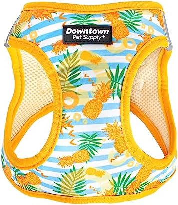 Downtown Pet Supply Step-in Dog Harness – No Pull, Adjustable Padded Mesh with Reflective Trim, Secure Buckle Strap – Comfortable & Breathable Small Dog Harness, X-Small, Pineapple by DowntownPetSupply