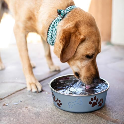 Loving Pets Bella Dog Bowls - Stainless Steel Dog & Cat Bowls - Spill Proof Dog Food Bowl, Cat Bowl, Puppy Essentials & Pet Supplies Great for Home & Travel (Small 10-20 lbs, Blueberry) - Image 5