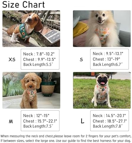 Dog Harness and Leash Set, Adjustable Dog Harness, Dog Leash, No Pull No Choke Puppy Harnesses for Walking Training for Small Medium Pet - Image 6