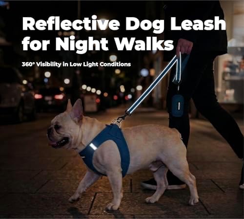 Best Pet Supplies Voyager Nylon Dog Leash - Royal Blue, Small - Image 5