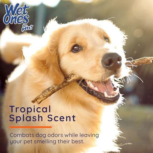 Wet Ones for Pets Antibacterial Dog Paw Wipes, Tropical Splash, 50 Count - Image 4