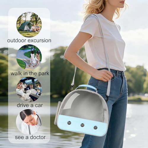 Bearded Dragon Travel Carrier,Lizards Cage, Small Animal Bag for Hedgehog Rat Parrot Bird Guinea Pig, Portable Guinea Pig Travel Carrier for 2 - Image 3