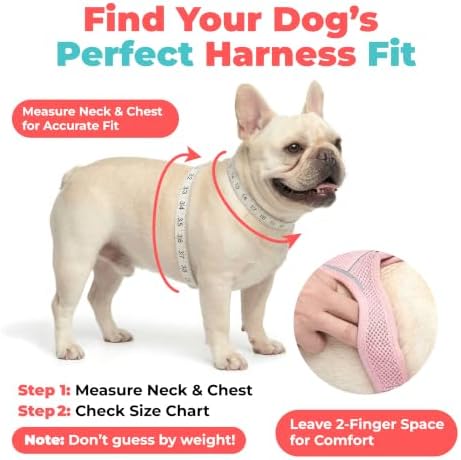Voyager Step-in Air Dog Vest Harness - Gray 2-Tone, Large - Image 6