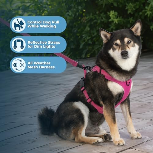 Voyager Dual Attachment No Pull Harness - Fuchsia, Small - Image 5