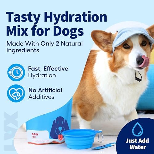 LYX Hydration Dog Electrolytes Water Enhancer, Beef, 7-Count - Image 5