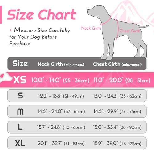 Eagloo Dog Harness for Small Dogs, No Pull Pet Vest with 2 Leash Clips - Image 2