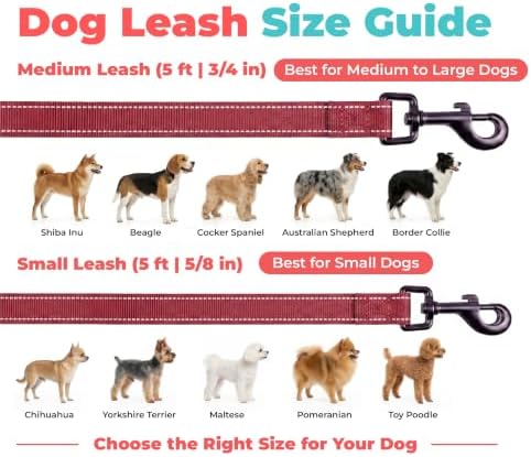 Best Pet Supplies Voyager Nylon Dog Leash - Burgundy, Small - Image 6