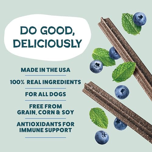 Shameless Pets Blueberry & Mint Dental Chews for Dogs, 8 Chews - Image 4