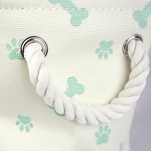 Bone Dry Pet Storage Collection Paw and Bone Print, Small Rectangle, 14x8x9", Mint - Image 5