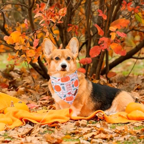 ADOGGYGO Thanksgiving Dog Bandana, Fall Pumpkin Dog Scarf, Large - Image 2