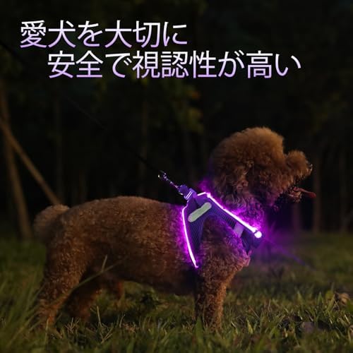 PcEoTllar Light Up Dog Harness, for Night Walking, Adjustable, Purple, S - Image 3
