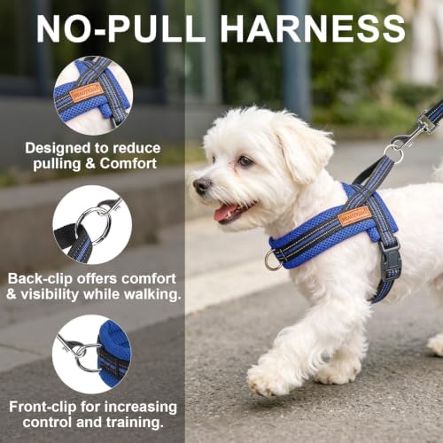 BEAUTYZOO Small Dog Harness and Leash Set, No Pull Step in Puppy Vest - Image 7