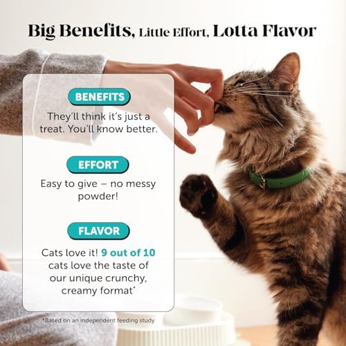 Pet Honesty Vet Backed Cat Calming & Anxiety Relief Chews, Chicken, 300ct - Image 4