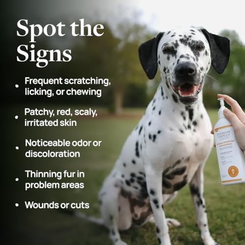 Veterinary Formula Clinical Care Antiseptic/Antifungal Spray, 8 oz, 2-Pack - Image 3