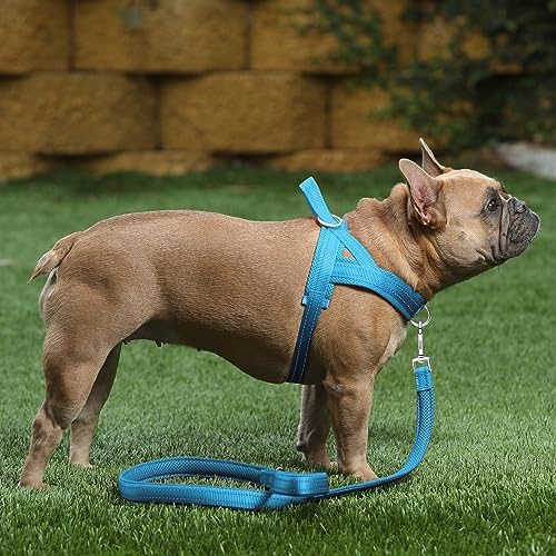 Plutus Pet No Pull Dog Harness with Front Clip, Breathable Mesh Padded - Image 5