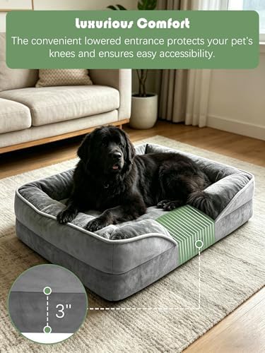 Spotted Play Orthopedic Dog Bed with Sides - Dog Sofa Beds for Extra Large Dogs, Supportive Foam Pet Couch Bed with Washable Removable Cover, Waterproof Lining and Non-Slip Bottom, Grey - XXL - Image 3