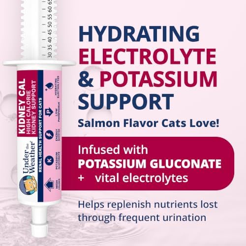 Under The Weather Pet Kidney Cal for Cats 80cc | High Calorie Cat Kidney Support Supplement with Low Phosphorus, Potassium Gluconate & Electrolytes | Vet Formulated Salmon Flavor Gel - Image 4