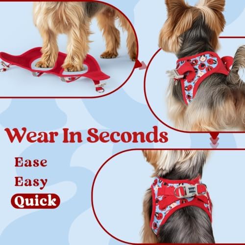 rabbitgoo Step-in Small Dog Harness, Puppy Vest for Small Sized Pet - Image 5