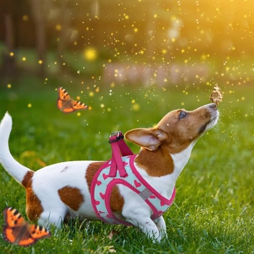 KOOLTAIL Valentines Dog Harness and Leash Set for Small Medium Dogs, Step in No Pull Soft Mesh Dog Harness Padded Pet Vest, Adjustable Reflective Easy Walking Puppy Harnesses Training, Pink Heart S - Image 6