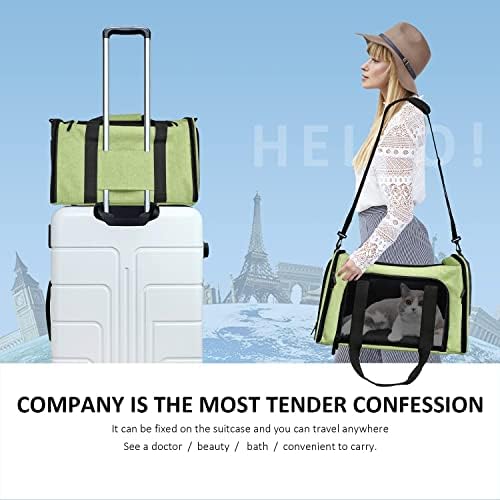 Henkelion Pet Carrier for Small Medium Cats Dogs Puppies up to 15 Lbs, Airline Approved Small Dog Carrier Soft Sided, Collapsible Travel Puppy Carrier - Green - Image 6