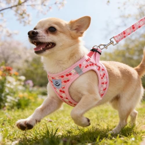 KOOLTAIL Dog Harness for Small Medium Dogs,Dog Harness and Leash Set, Step in No Pull Soft Mesh Padded Adjustable and Reflective Pet Vest Harness Puppy, Plaid Extra Harness for XS S Dogs,Pink Cherry,M - Image 2