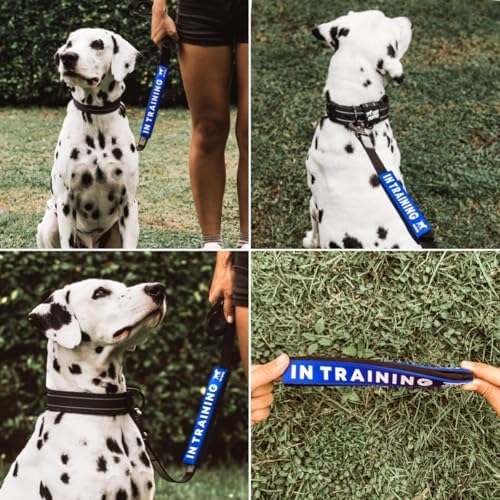 Waterproof Dog Leash Sleeve, in Training Dual-Sided Message Wrap, 1-Pack - Image 4