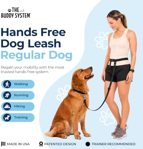 The Buddy System - Hands Free Dog Leash - Regular Dog, Large, Black - Image 2