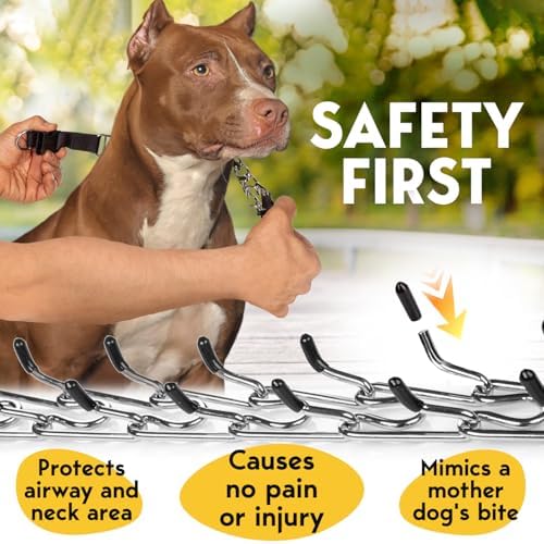 PetJett Prong Collar for Dogs - Adjustable Dog Training Collar No Pull Choke Collar for Dogs Pinch Collar for Dog Walking Tool for Small Medium, or Large Breed - Stainless Steel Metal Choker Chain - Image 3